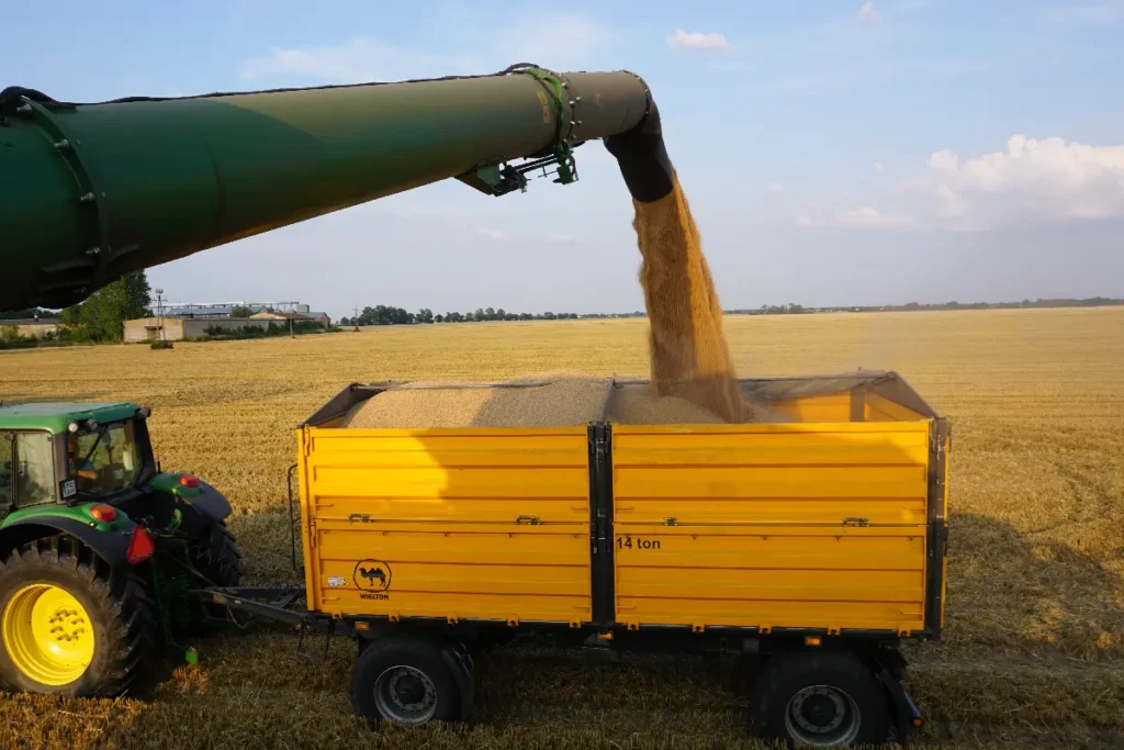 Kombajn doposażony w czujnik HarvestLab 3000 pozwala zarządzać logistyką odbioru ziarna i kierować je do różnych silosów © Traktor24.pl