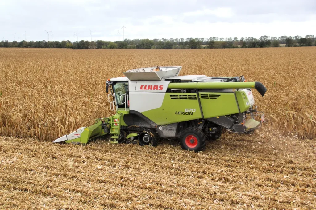 Na ten moment średnie stawki za zbiór hektara kukurydzy ziarnowej wynoszą ok. 500-550 zł netto fot. Traktor24