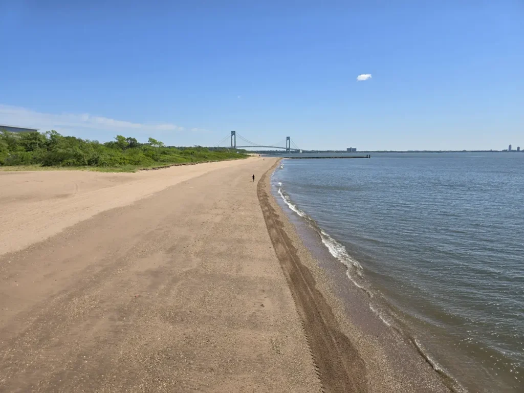 Maszyna radzi sobie także z mokrym piaskiem. W tle widoczny most Verrezano łączący ze sobą dwie dzielnice nowojorskie - Staten Island i Brooklyn fot. Tomasz Kuchta