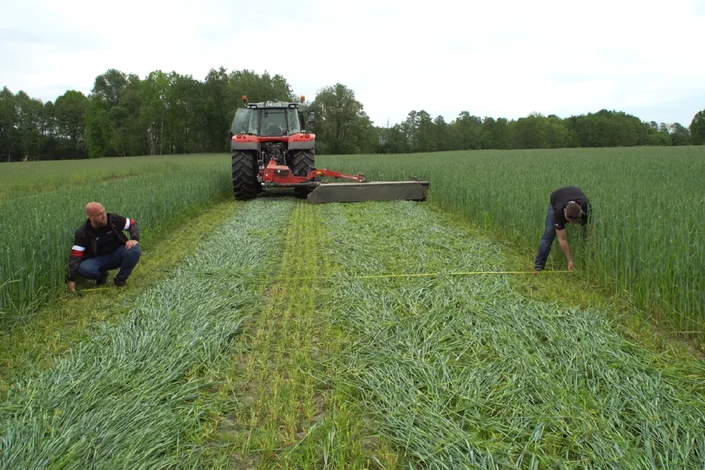 
Zmierzenie szerokości roboczej zestawu kosiarek Massey Ferguson wskazało wynik 580 cm. Wykonując ten pomiar nie wybieramy miejsca po skoszeniu kilku metrów, tylko kilkunastu! fot. TRAKTOR24.pl