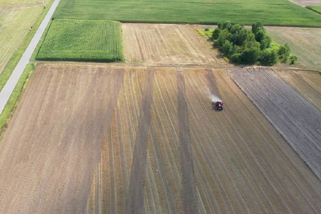 Nawigacja Trimble EZ-Pilot Pro pozwoliła przenieść uprawę pożniwną na wyższy poziom  fot. TRAKTOR24
