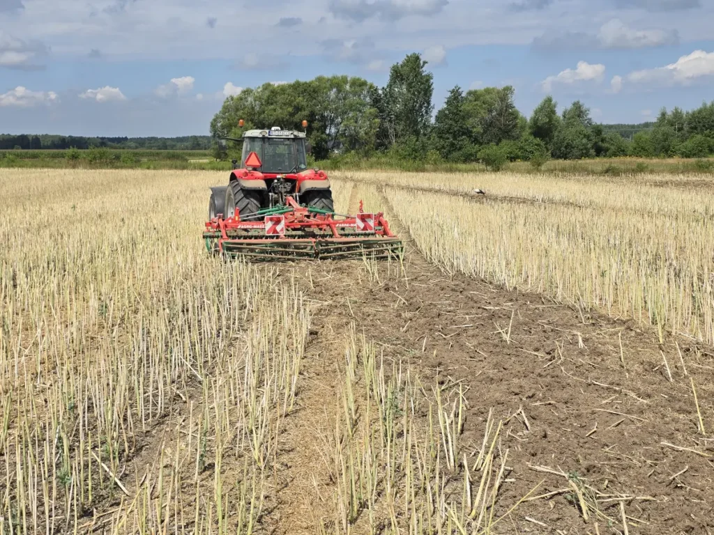 Uprawa pod skosem do kierunku siewu wpływa na lepsze wyrównanie powierzchni pola oraz na równomierne rozmieszczenie resztek pożniwnych fot. Tomasz Kuchta