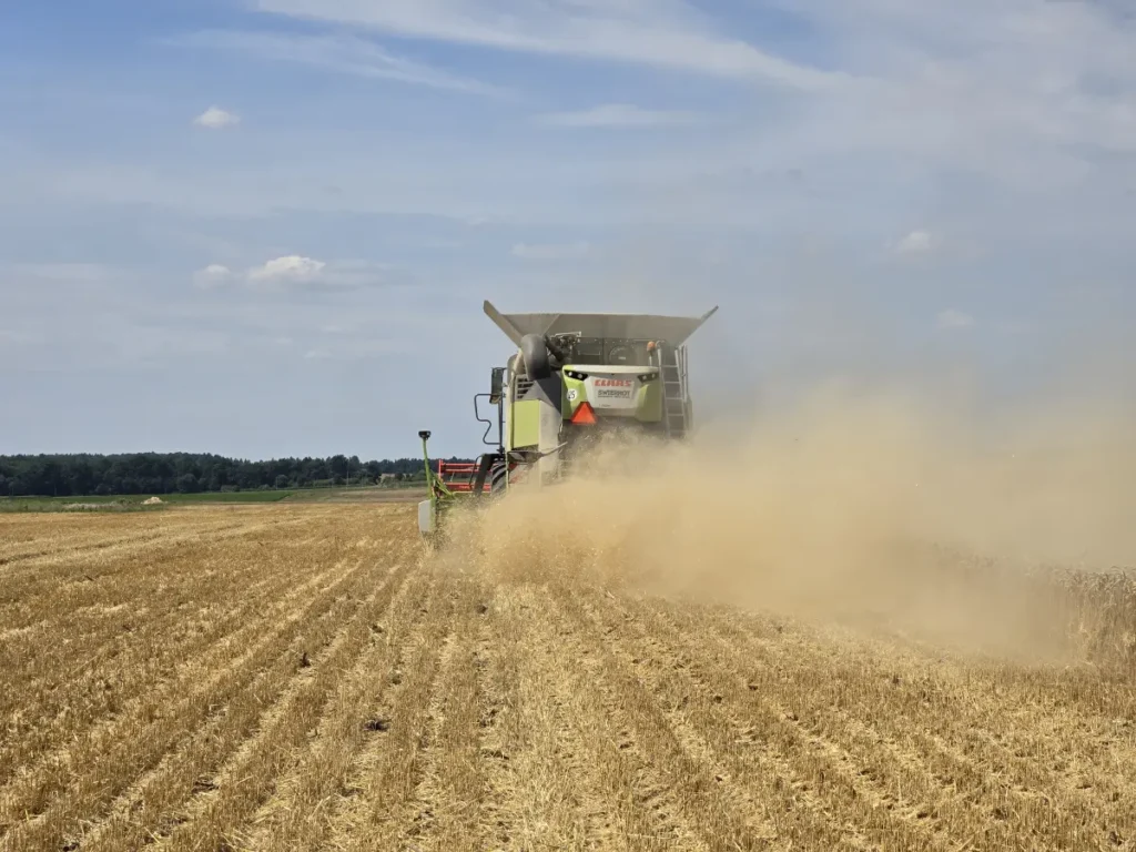 Claas Trion 530 30 fot. Tomasz Kuchta