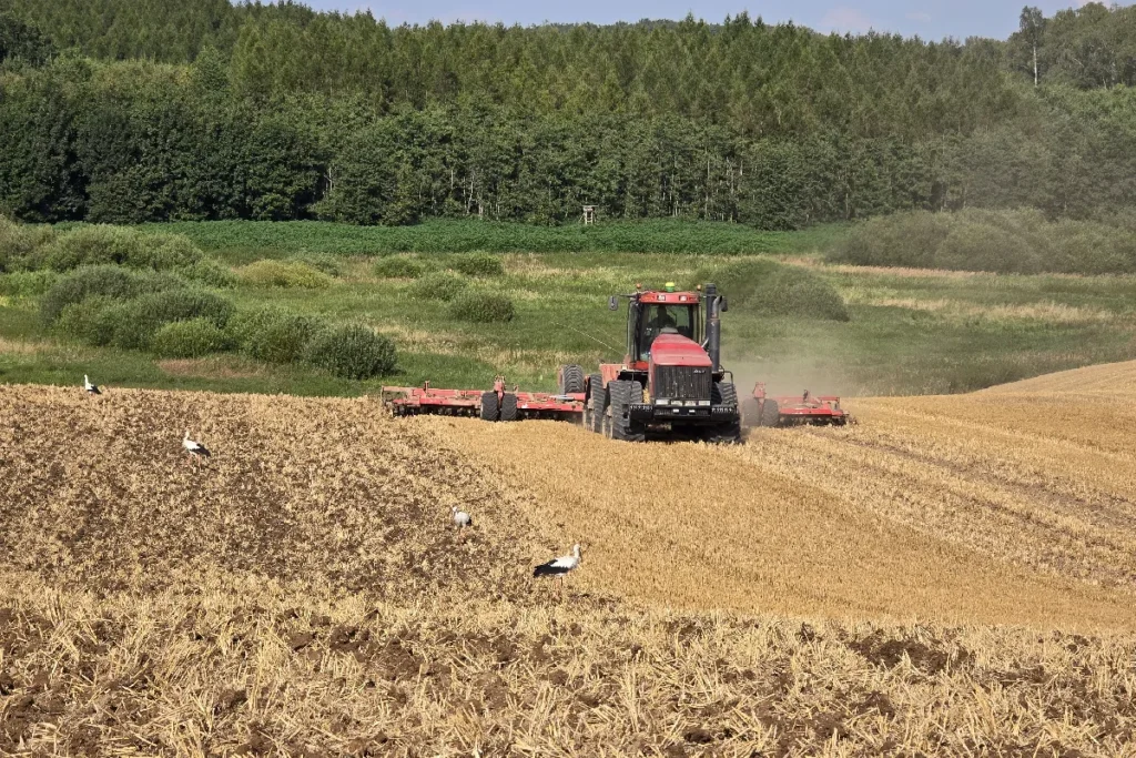 Z 12-metrową broną talerzową Horsch Joker pracuje ciągnik przegubowy Case IH Quadtrac 485 o mocy maksymalnej 496 KM fot. TRAKTOR24