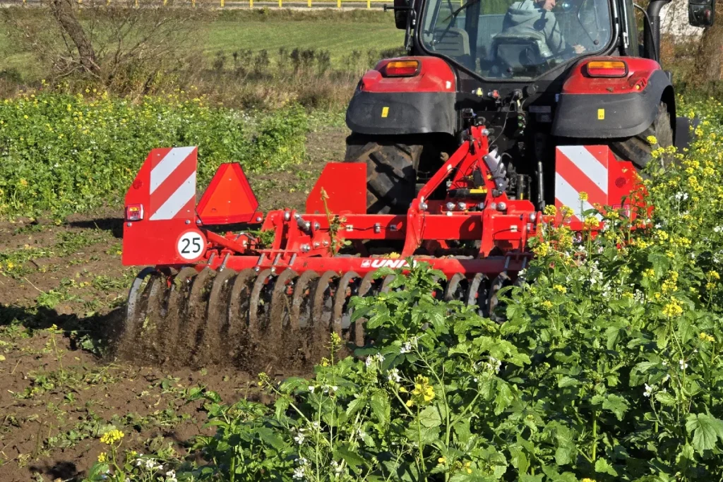 Unia Ares XL 3 na naszych oczach dosłownie wprasował w glebę ponadmetrowe rośliny gorczycy fot. TRAKTOR24